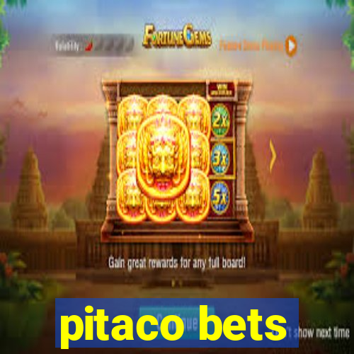 pitaco bets